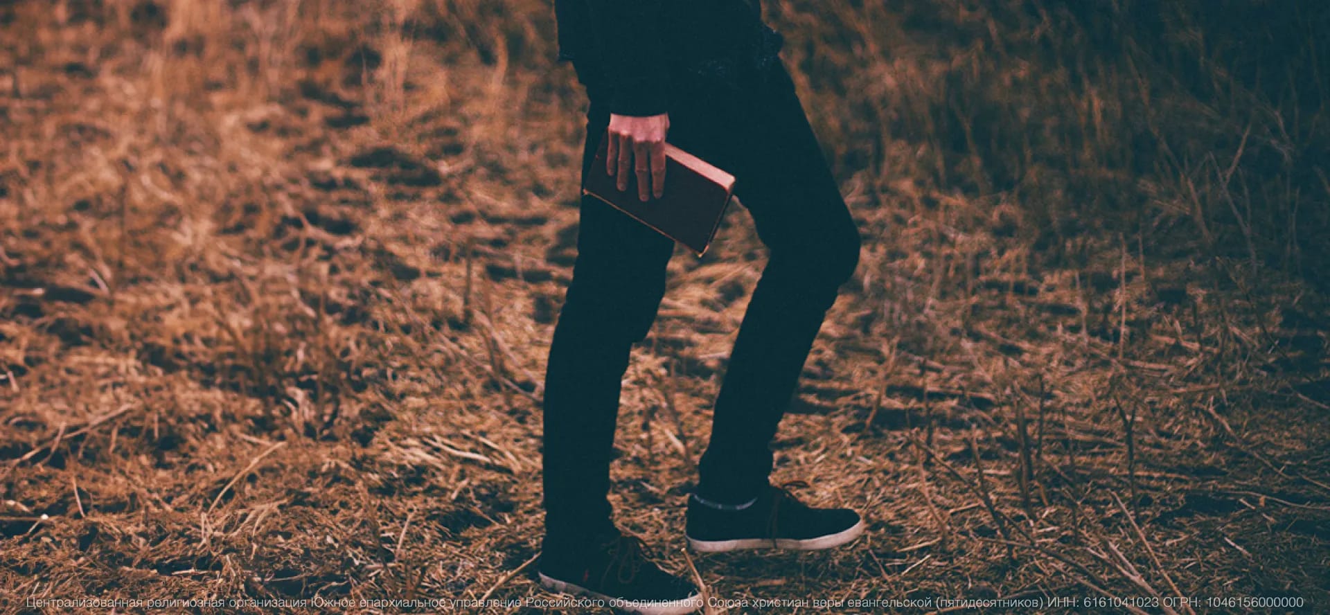 Тема ноября: Приносить спасение