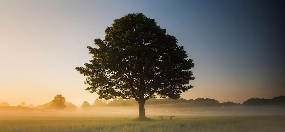 Тема месяца: Быть мудрым